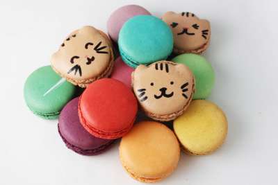 Cat macarons on a plate on display.