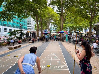 /assets/uploads/images/general/Shuffleboard_3.jpg