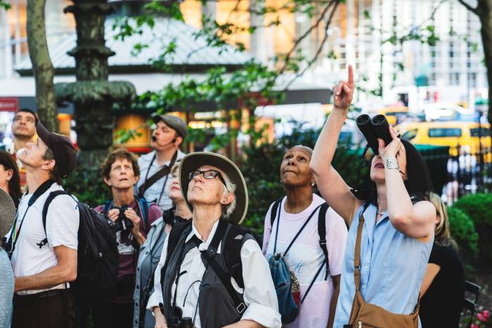 Birders look for migratory birds in Bryant Park during a birding tour